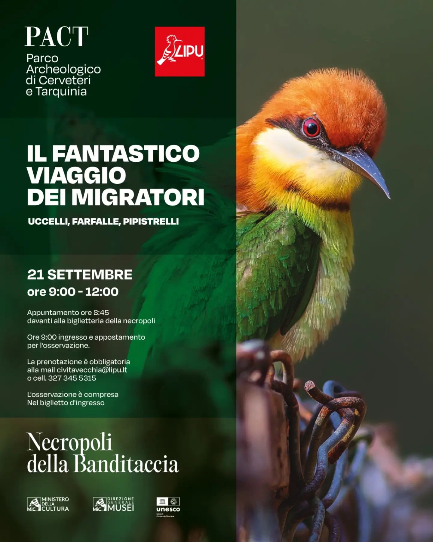 Scopri di più sull'articolo Il Fantastico Viaggio dei Migratori